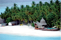 Мальдивские курорты 